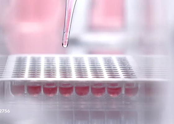 Technology in Every Move